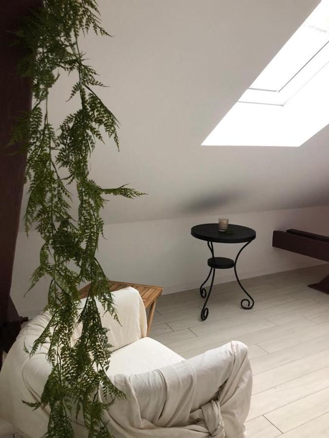 Alsacian Home - Old Town Cosy Apartments コルマール エクステリア 写真